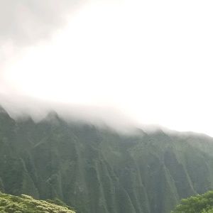 Meet your Posher, Maureen